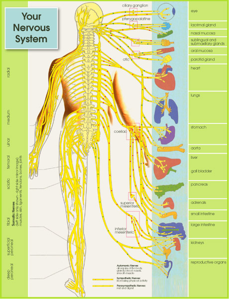 Do You Have Subluxation?